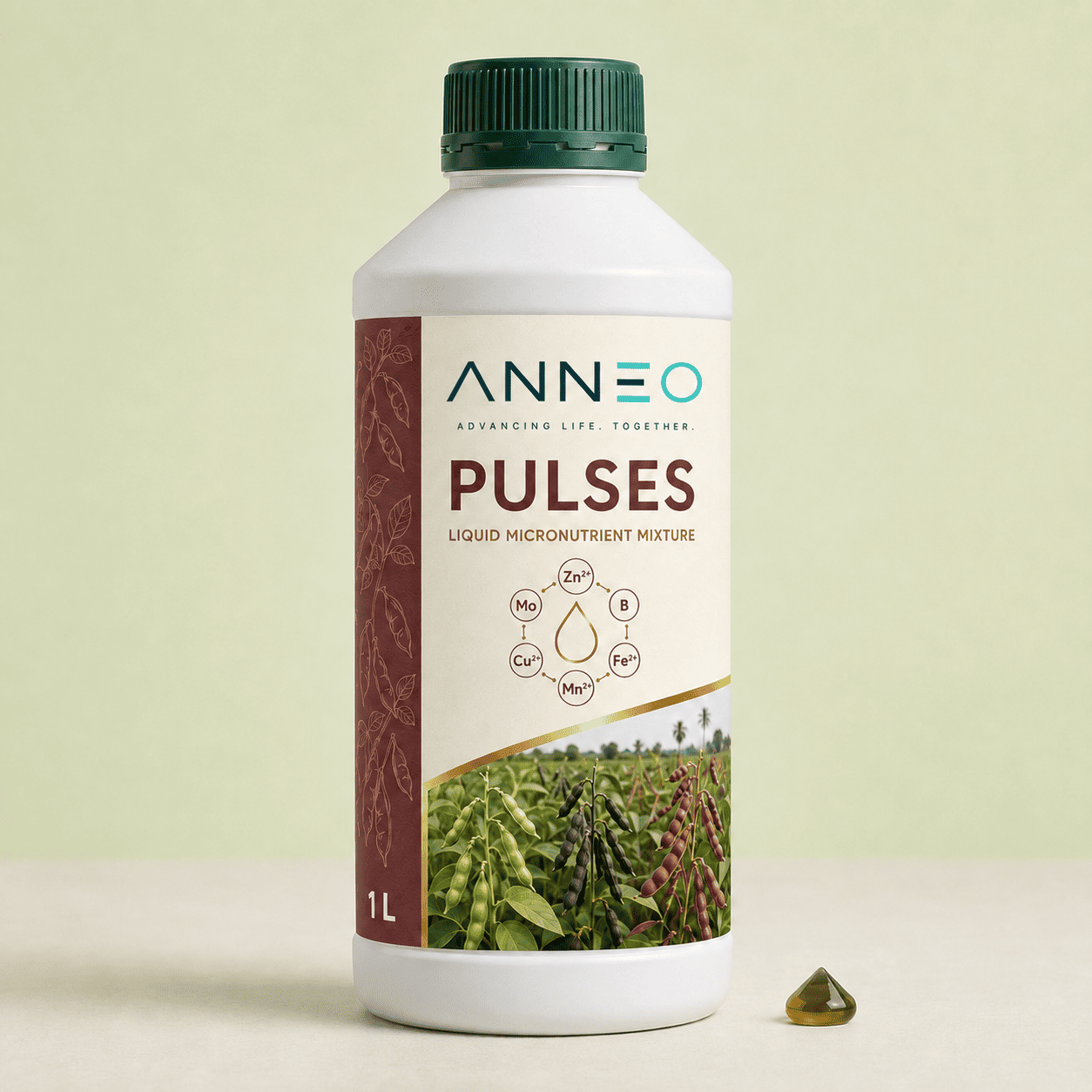 Pulses micronutrient mixture